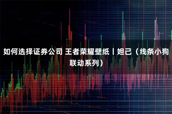 如何选择证券公司 王者荣耀壁纸丨妲己（线条小狗联动系列）